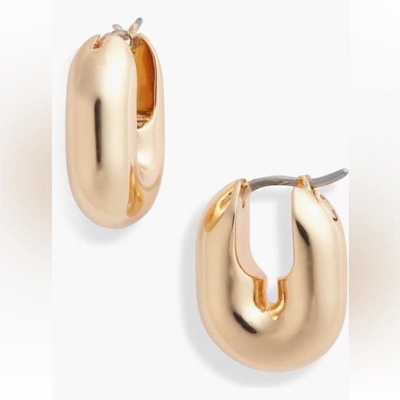 Jenny Bird NEW Puffy U Link earrings - Picture 1 of 5